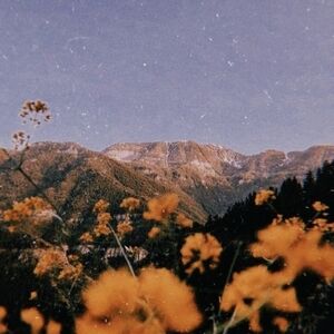 Meet your Poshers, Eileen And Erica !